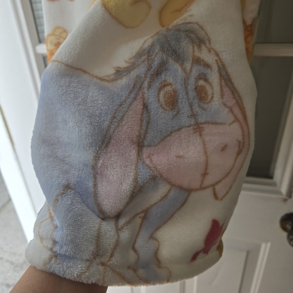SOLD‼️Disney Winnie The Pooh Plush Fall Leaves Throw Blanket - Picture 5 of 9